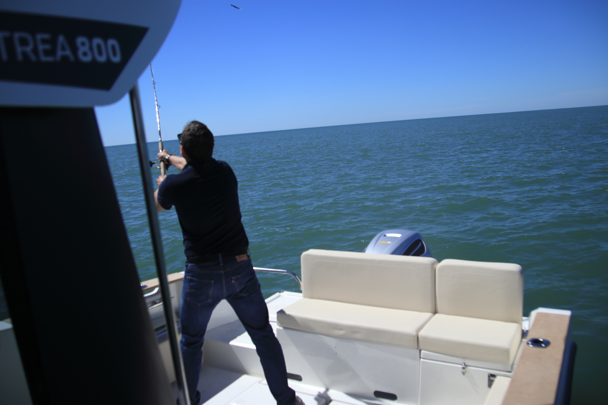 OSTREA 800 OB IMG_7096 2k