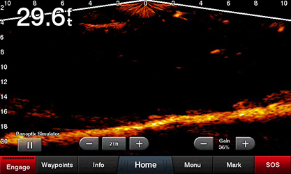 Garmin Panoptix Livescope Garmin Panoptix Livescope